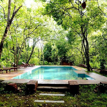 Отель Mahagedara Wellness Retreat Avudangawa Экстерьер фото