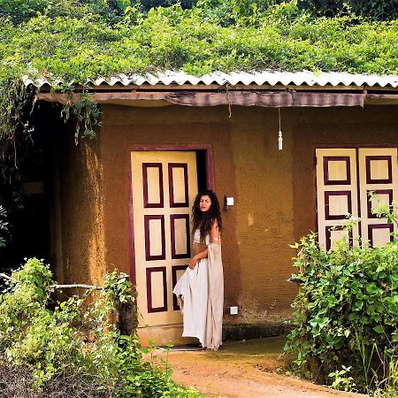 Отель Mahagedara Wellness Retreat Avudangawa Экстерьер фото